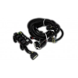 Coyote Gen1 Control Pack Swap de la Mustang 2011-14, 64-73