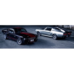 Eleanor GT500 Kit caroserie calitate premium Shelby 67 68