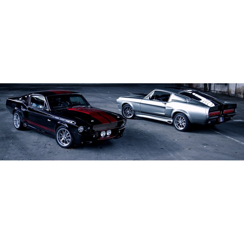 Eleanor GT500 Kit caroserie calitate premium Shelby 67 68