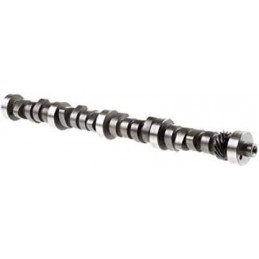Arbore cu came, hidraulic 289 / 302 MELLING Standard 64-73