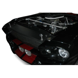 Capac grilă, capac radiator Eleanor GT500
