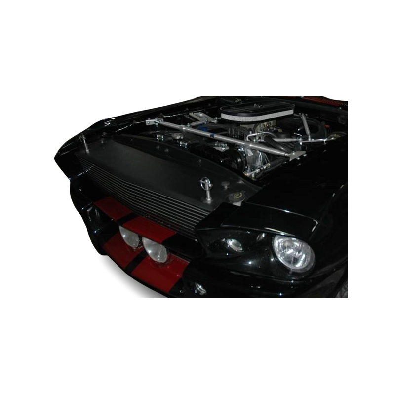 Capac grilă, capac radiator Eleanor GT500