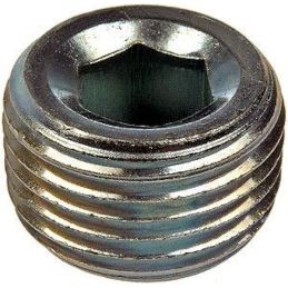 Capac 3/ 8-18 NPT/ 9.5mm