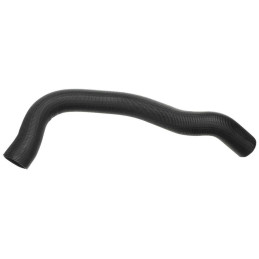 Furtun radiator inferior, 302 351W 351C 71-73