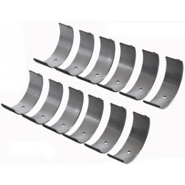 Pane de manivelă 6 cilindri 200 64-73 MAHLE / CLEVITE