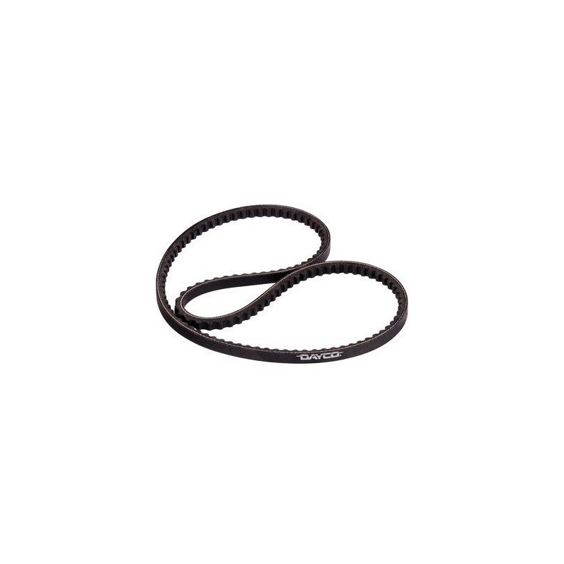 V-Belt13 x 1320 / 0.53 x 52" 64-73