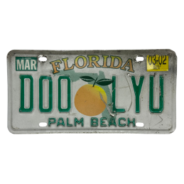 Placă de înmatriculare Florida