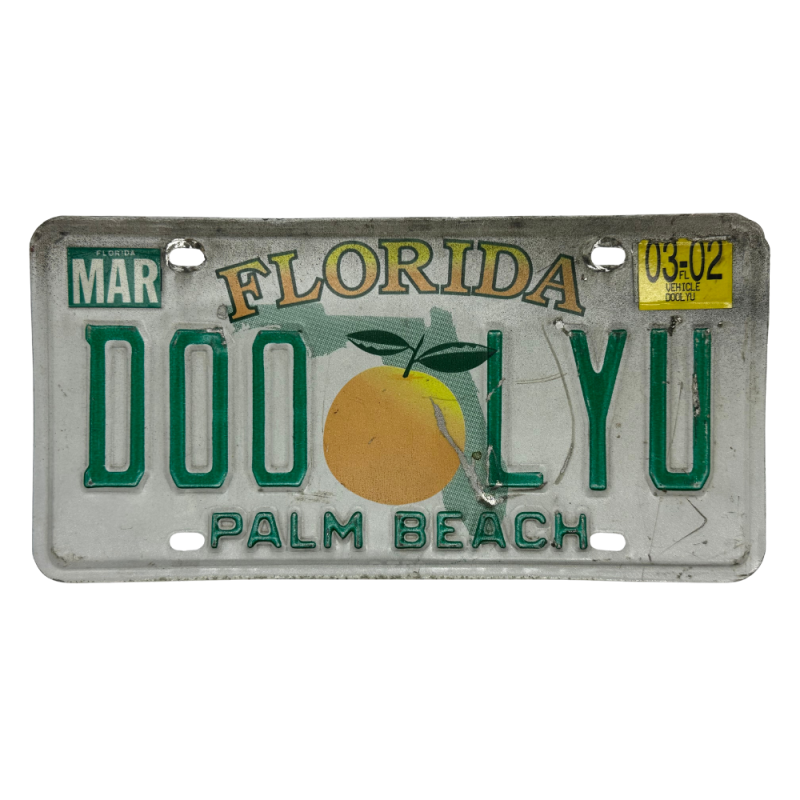 Placă de înmatriculare Florida