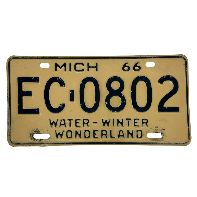 Placă de înmatriculare Michigan