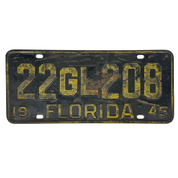 Placă de înmatriculare din Florida