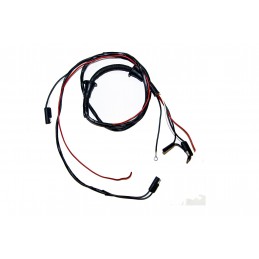 Pony ușă lumină și difuzor harness 65-66