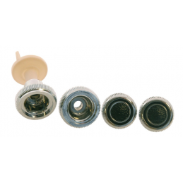 Set de butoane radio originale 69-70