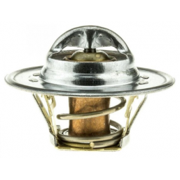 Termostat - 90 grade C 64-73